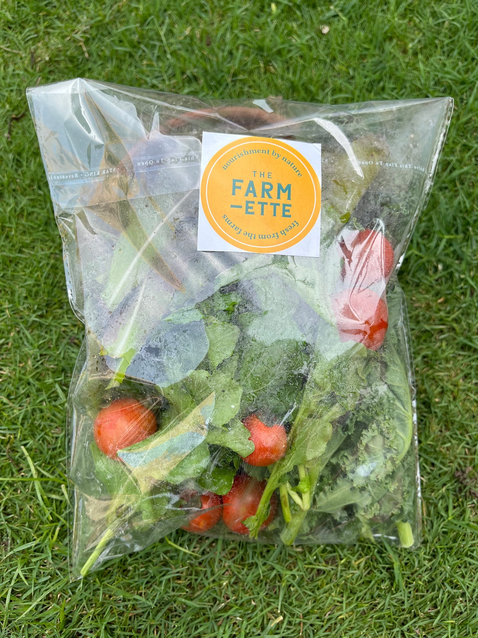 Fresh Gourmet Salad Mix & Greens (500g)