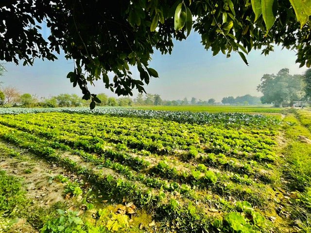 Farmer to Founder